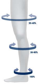 EG Diagram